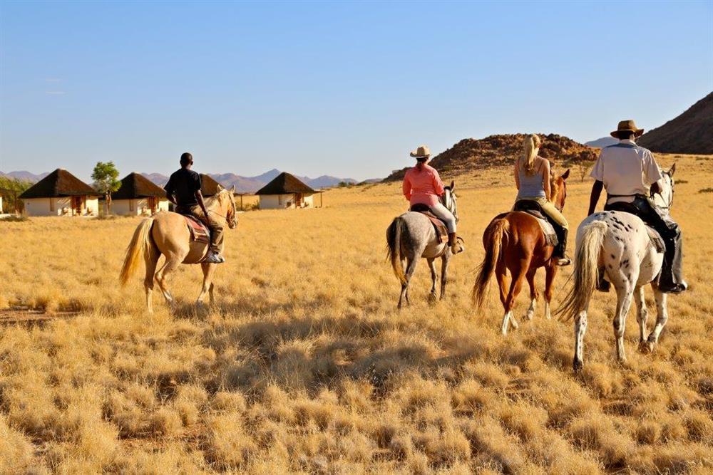 Desert Homestead